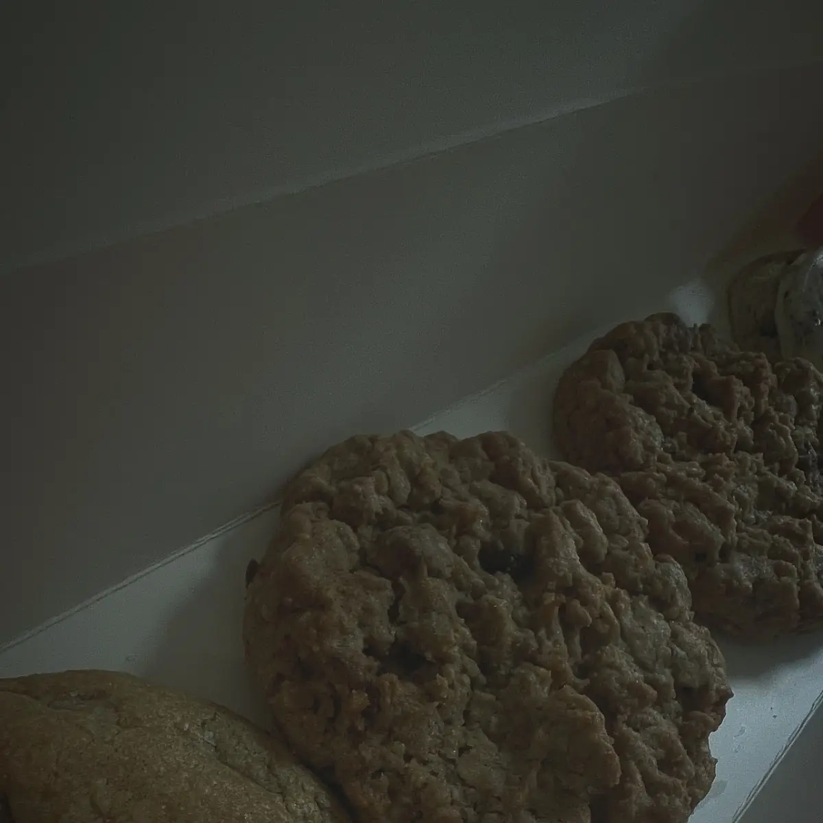 Chocolate Chip