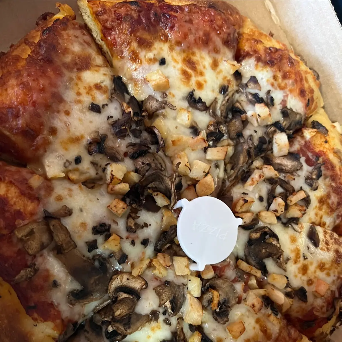 Chicken Mushrooms Pizza