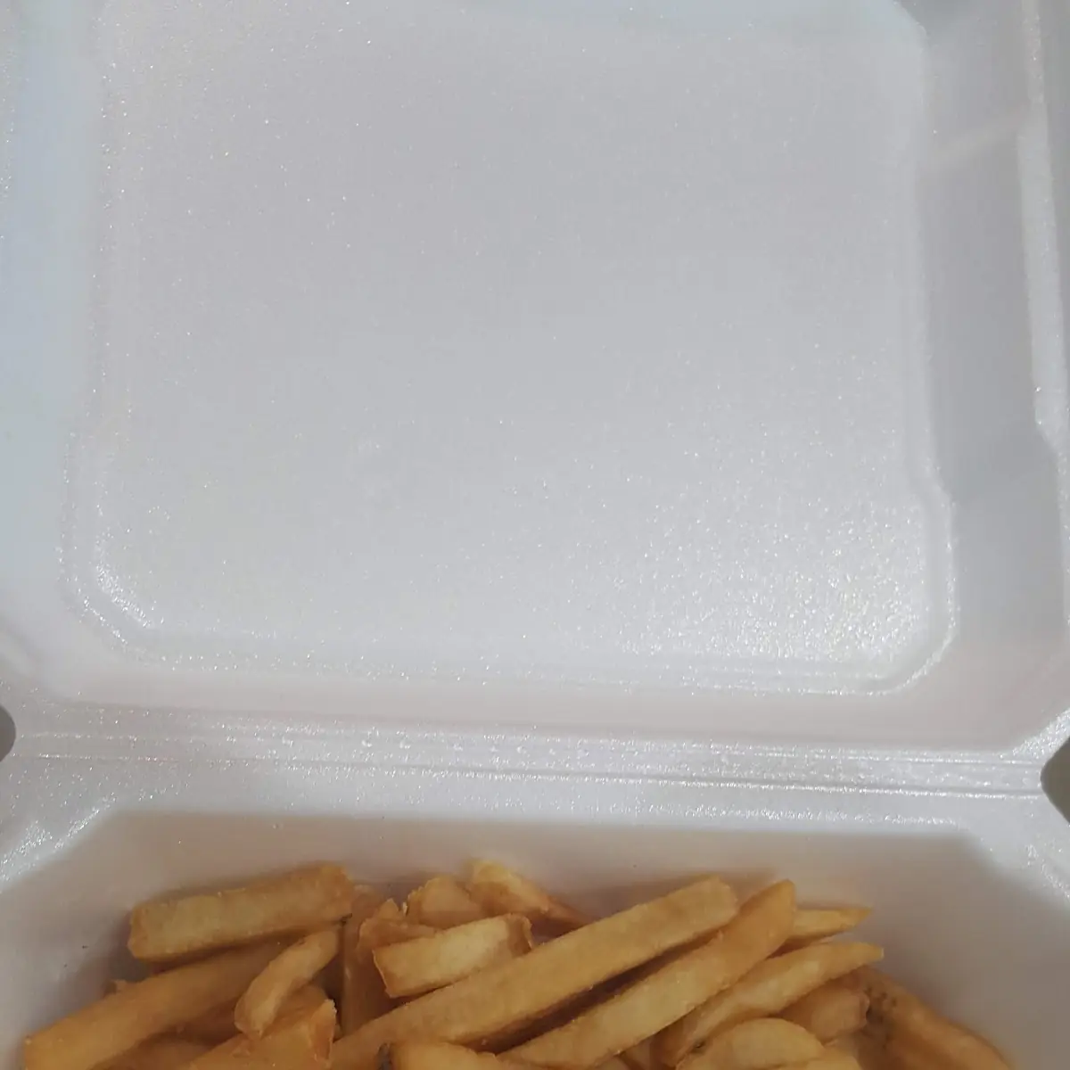 Fries with Cheese Steak Sandwich