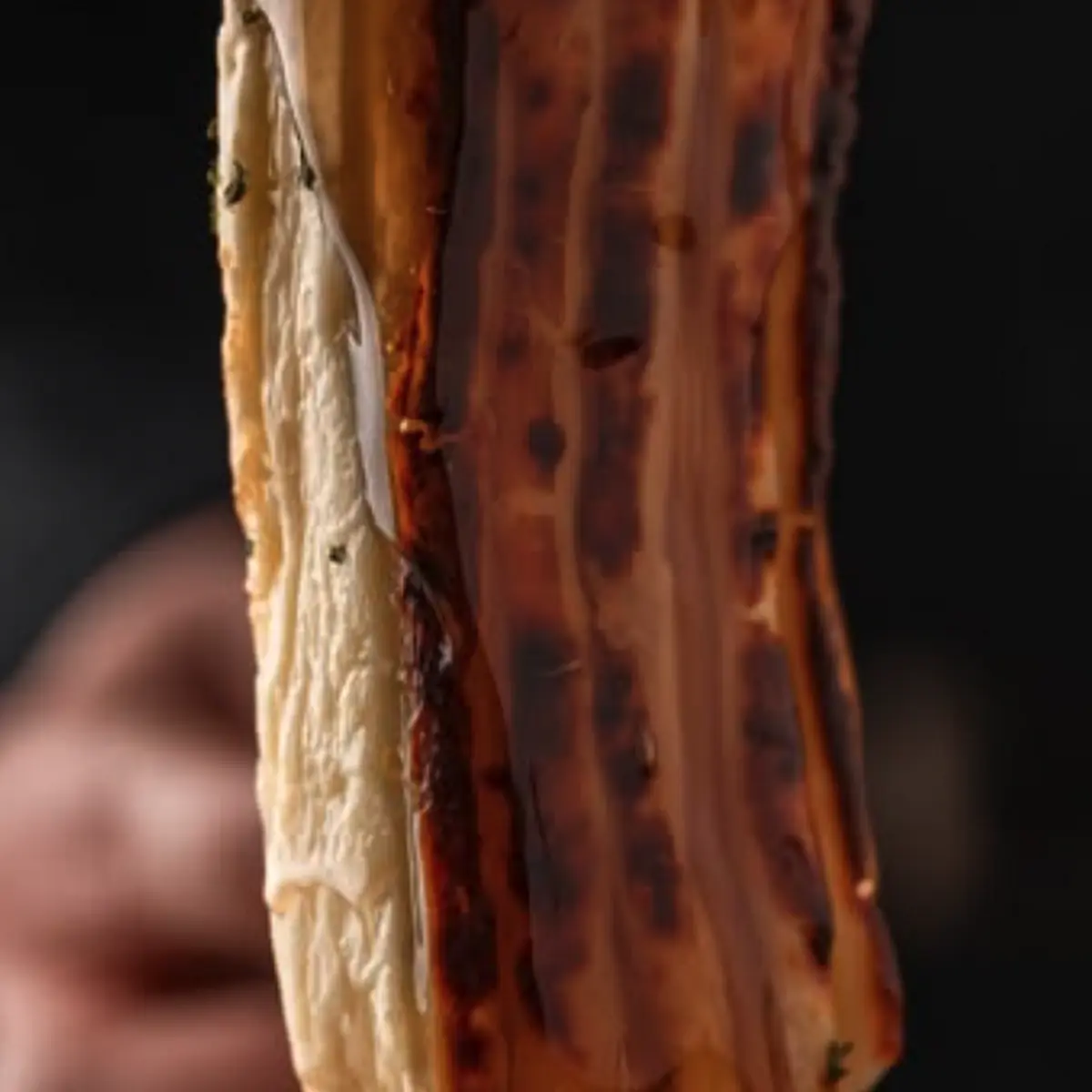 Grilled Brazilian Cheese