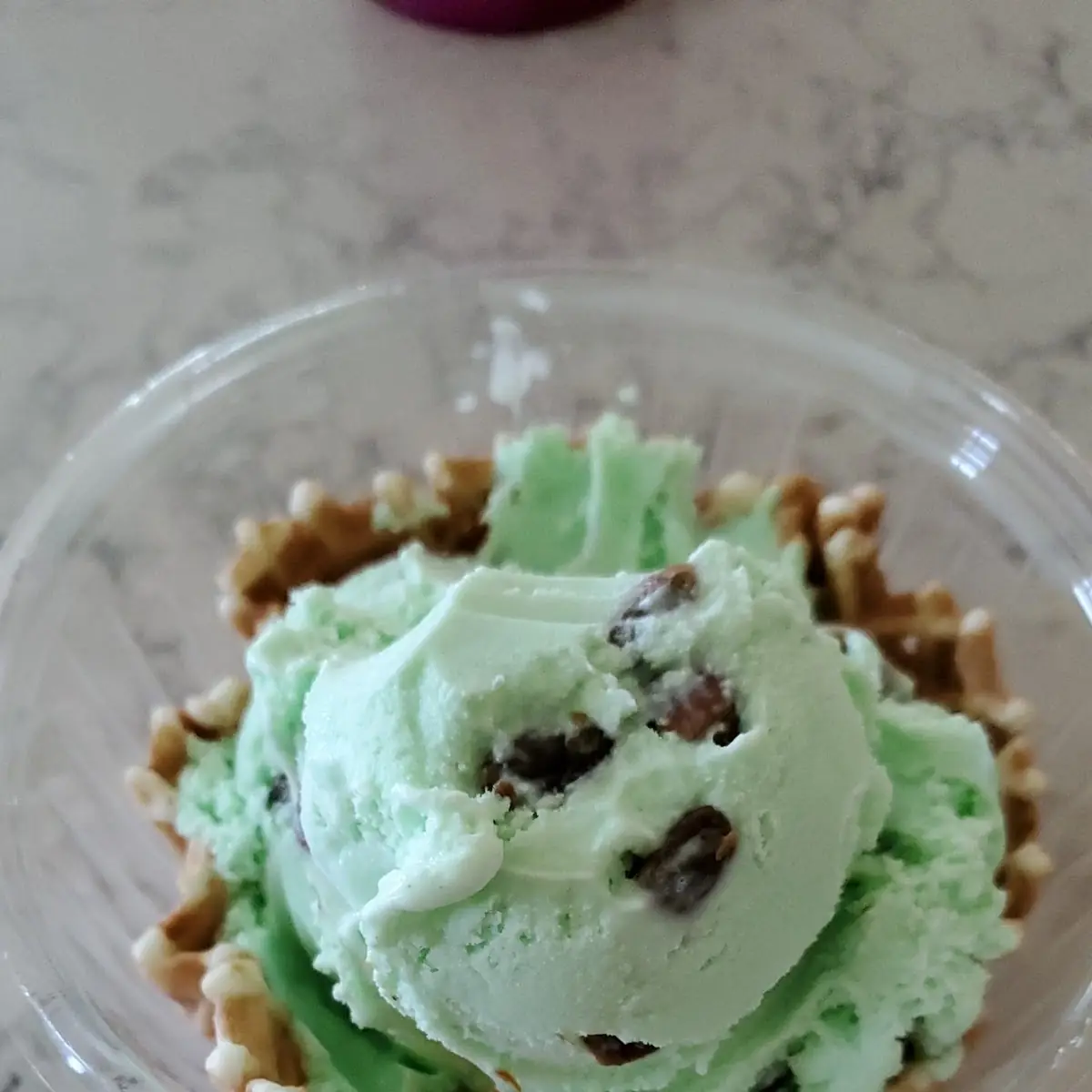 Mint Chocolate Chip