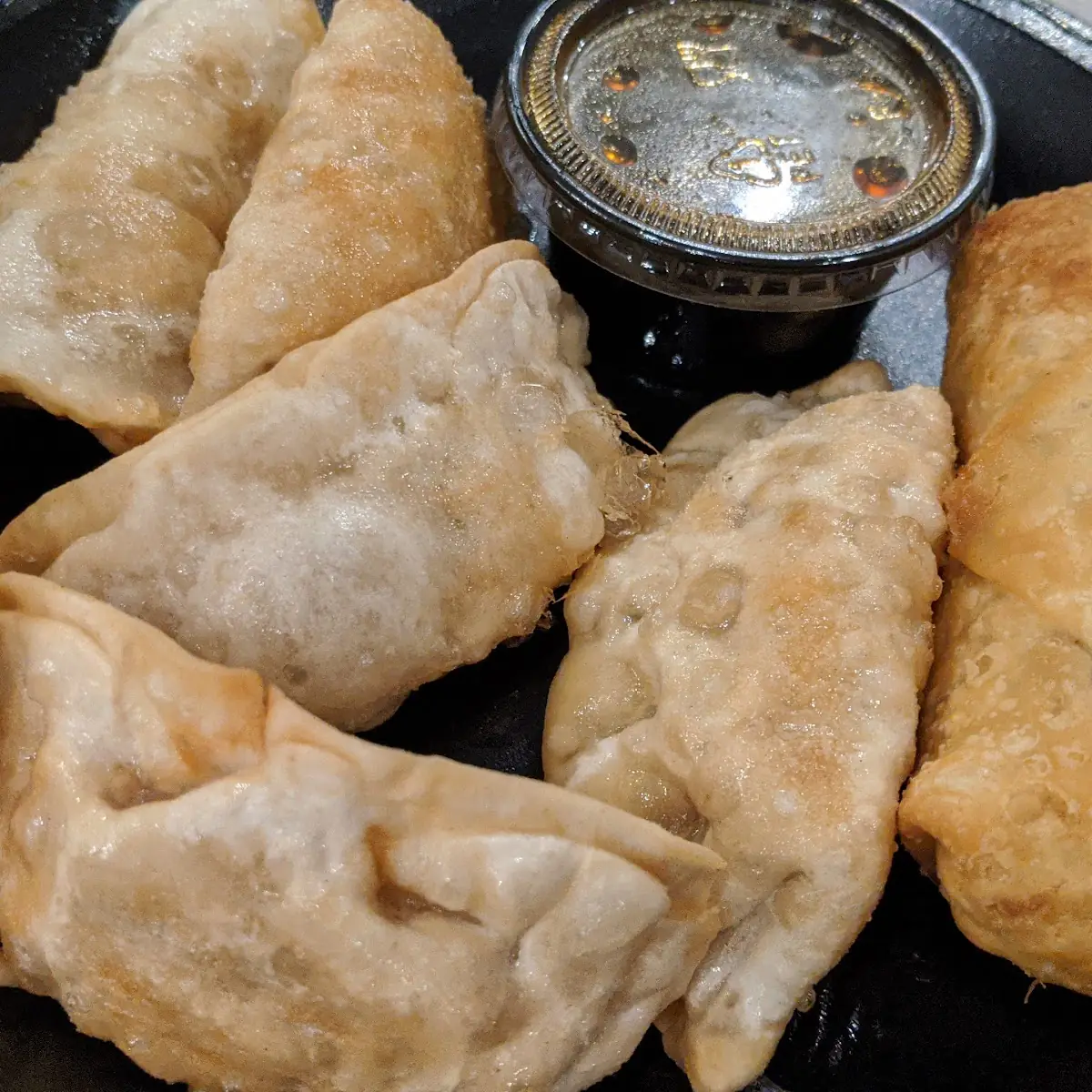 Fried or Steamed Dumplings