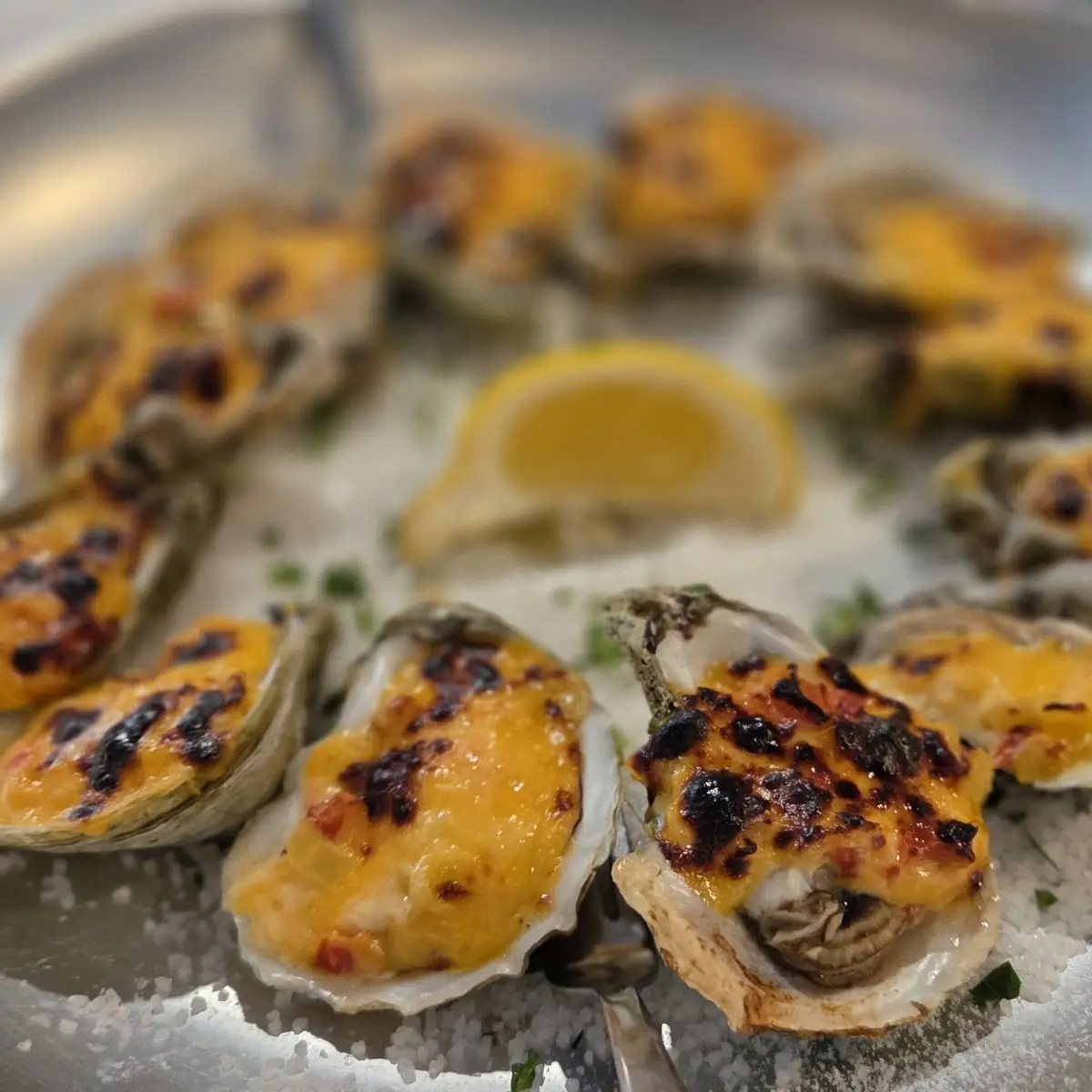 Baked Oysters on Salt