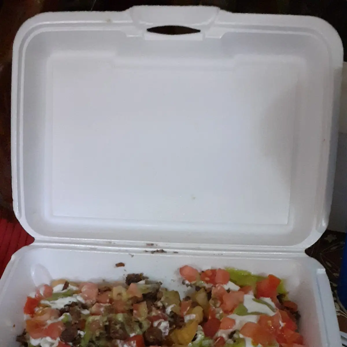 Carne Asada Fries with Cheese