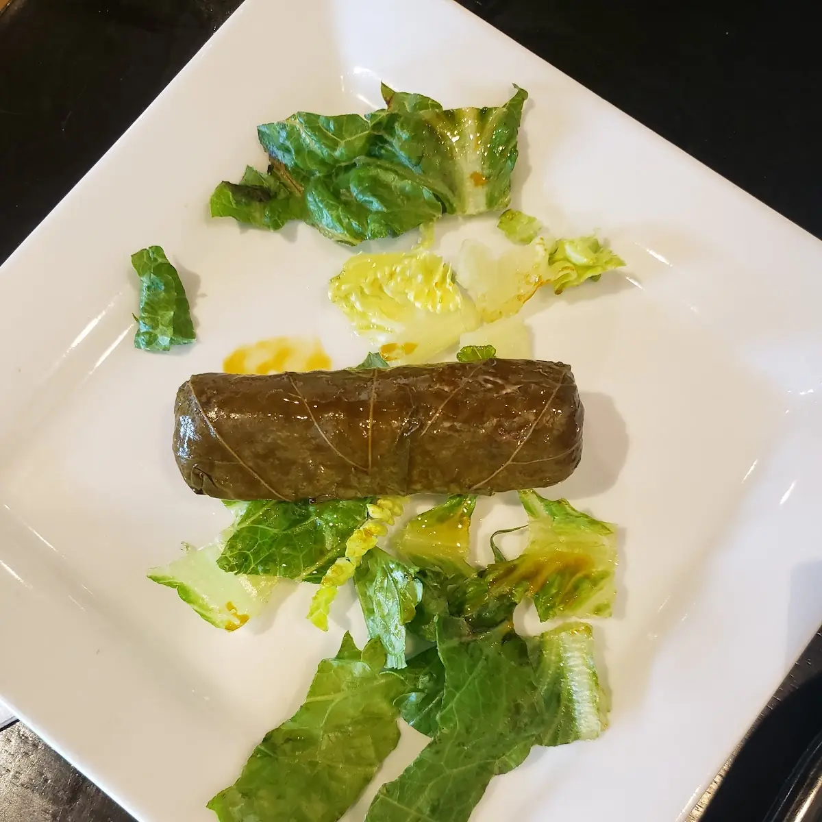 Stuffed Grape Leaves
