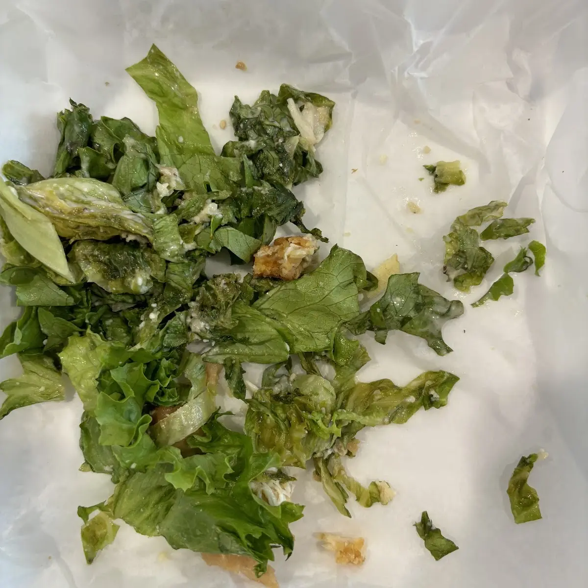 Chicken Caesar Wrap