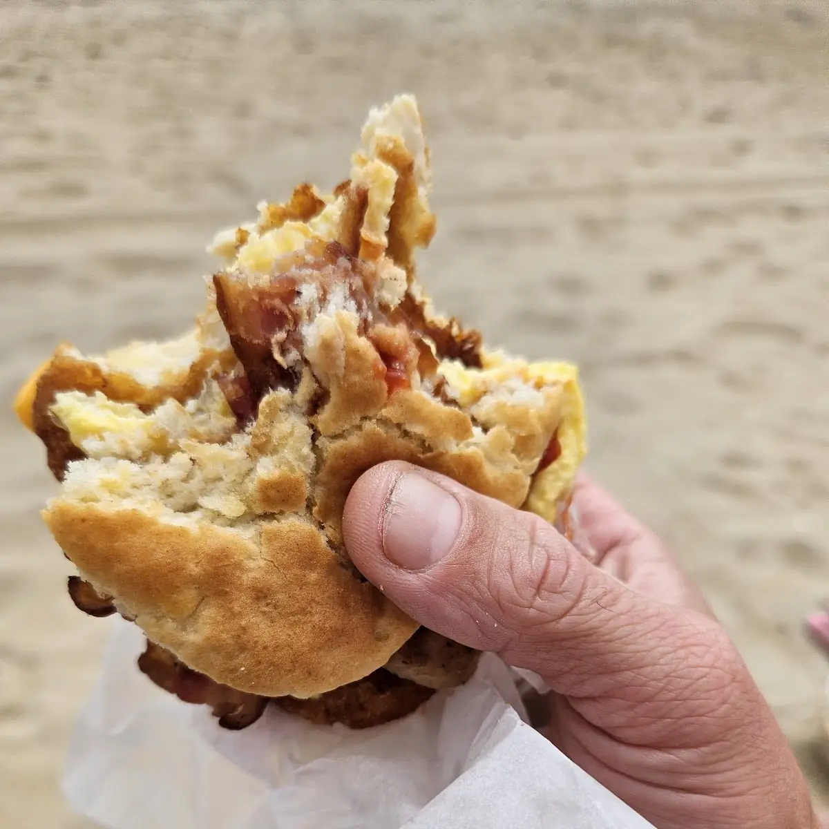Egg Chicken Bacon Egg and Cheese Biscuit Sandwich