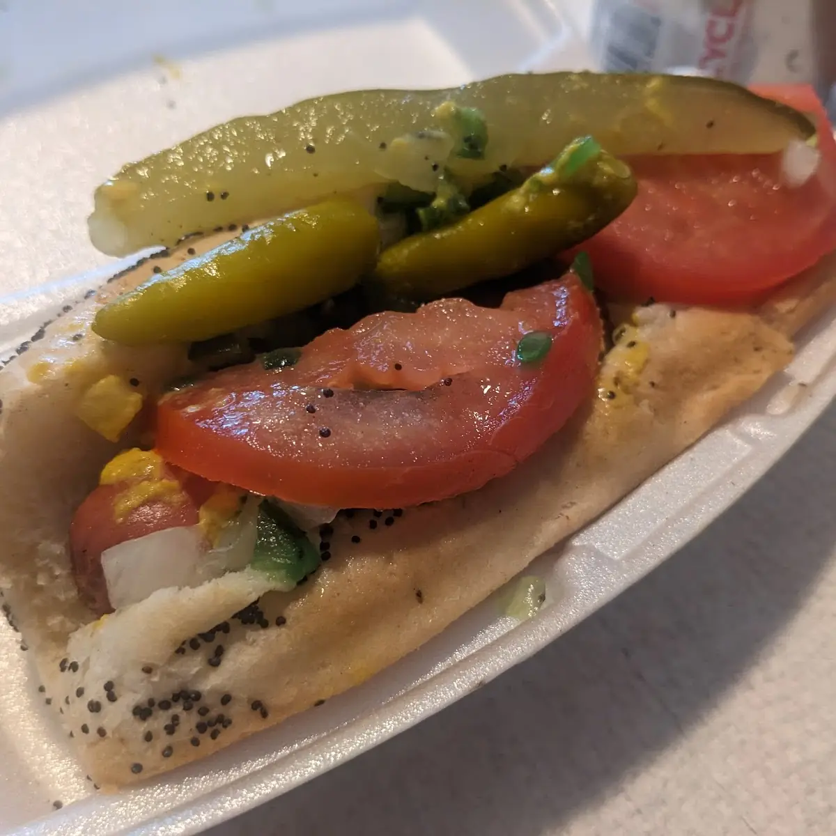 Chicago-Style Hot Dog