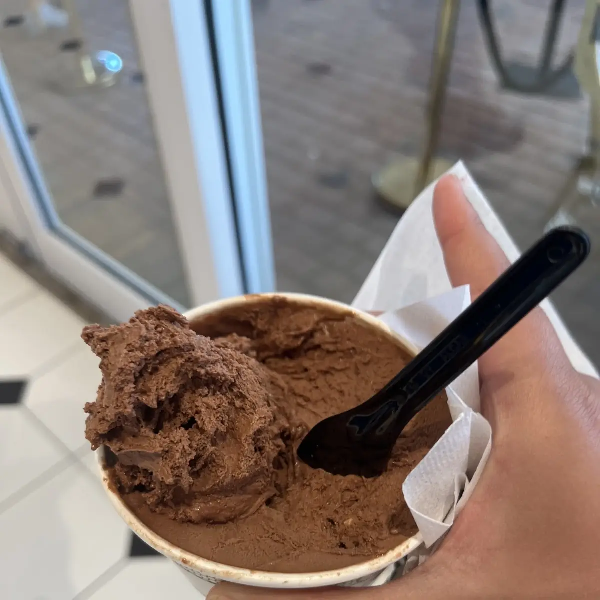 Chocolate Ice Cream