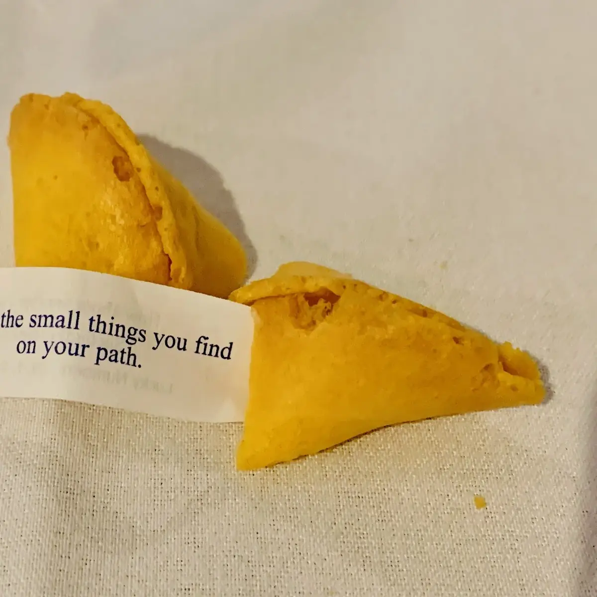 Fortune Cookie