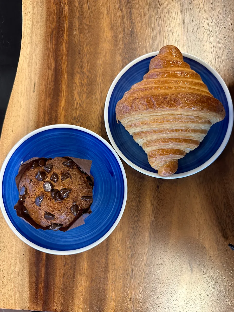 Chocolate Chip Muffin