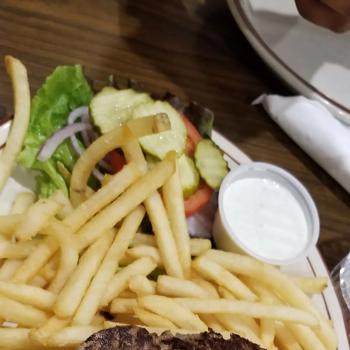 Bison Burger