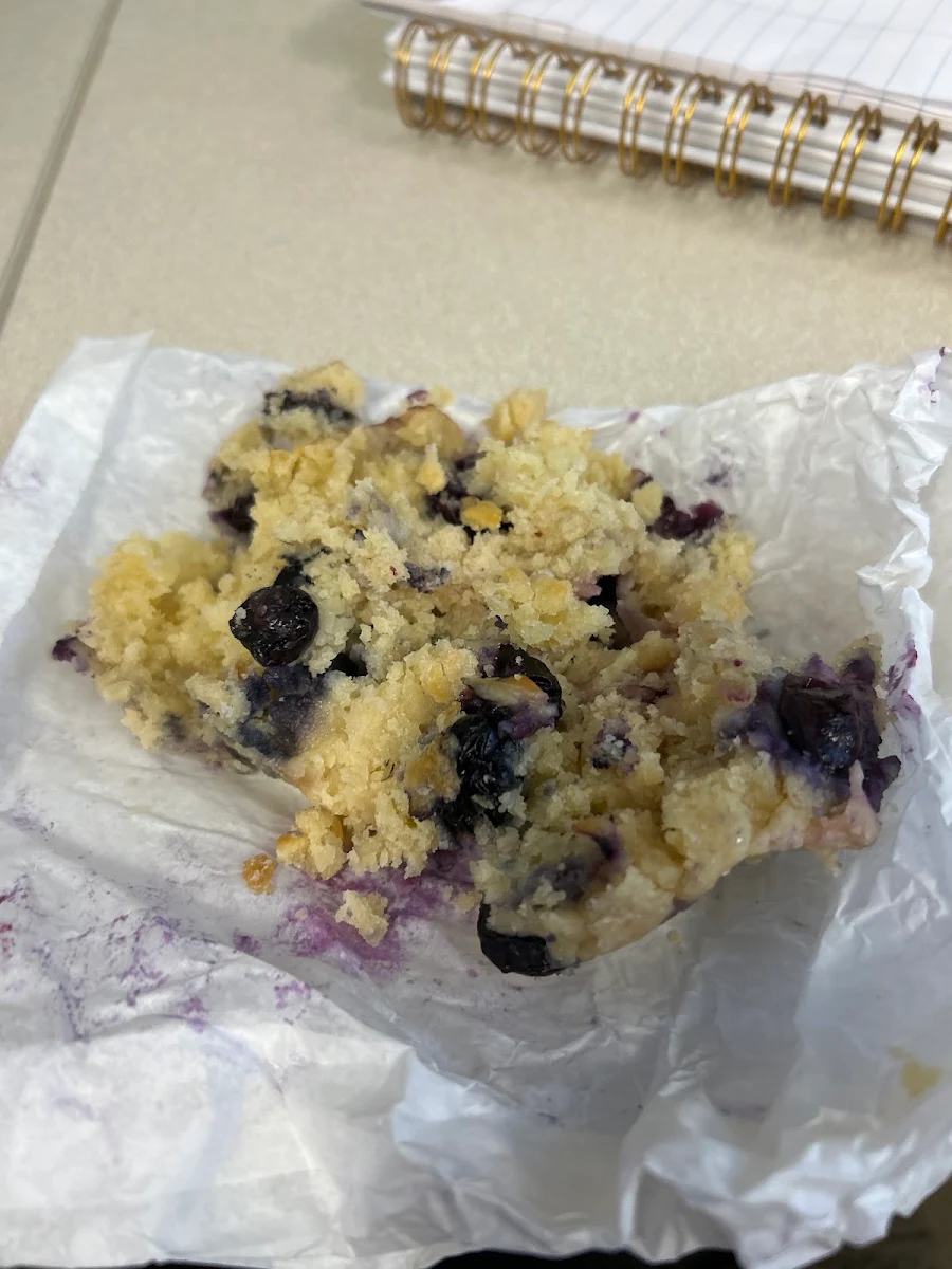 Blueberry Muffin