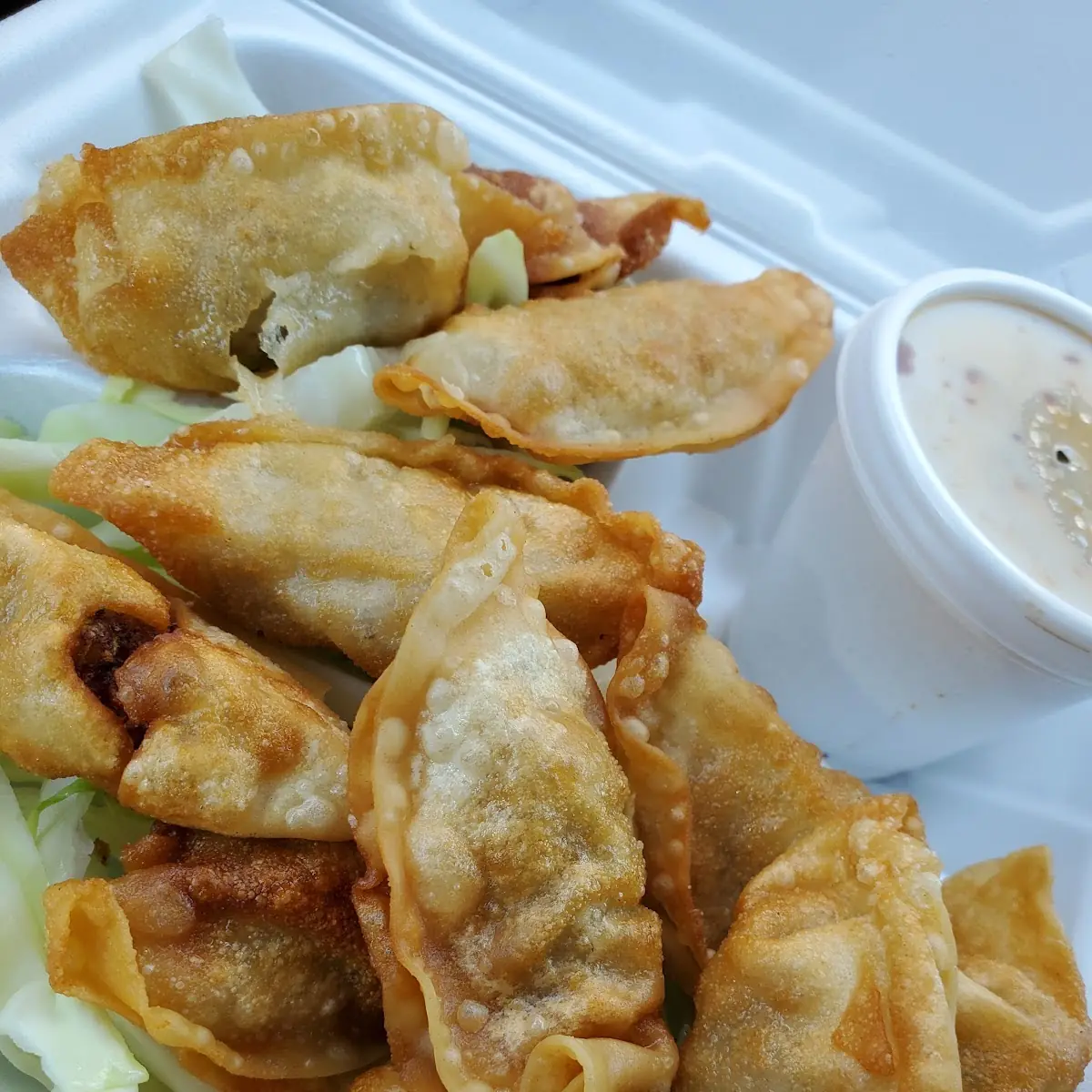 Fried Dumplings