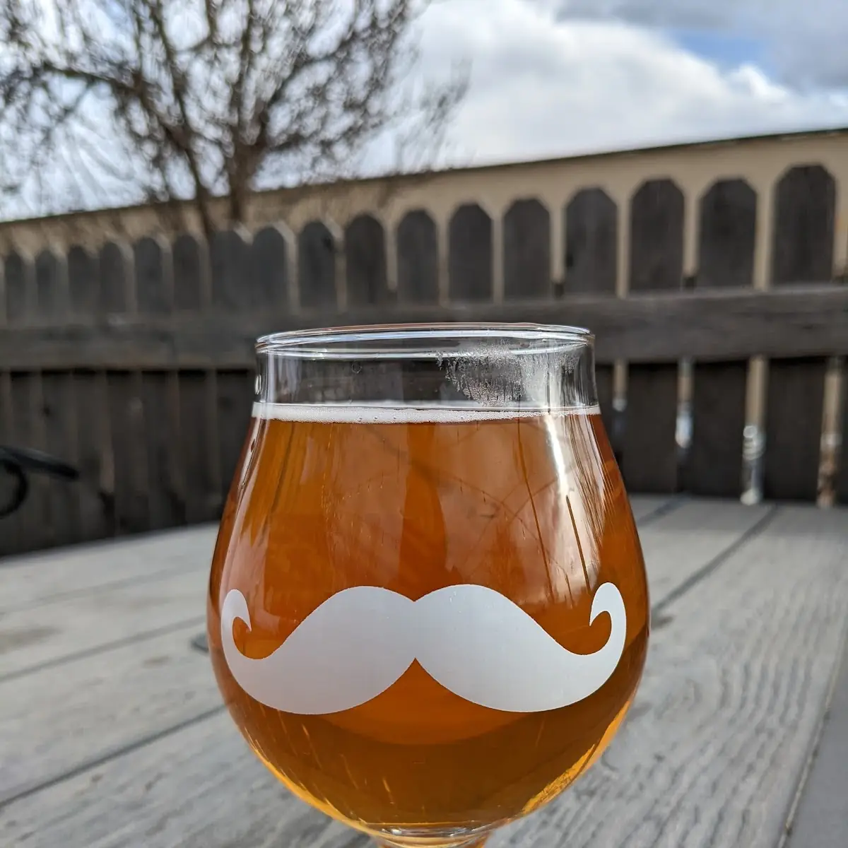 Vanilla Bourbon Hard Cider