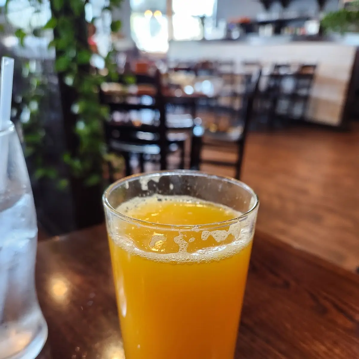 Fresh Squeezed Orange Juice