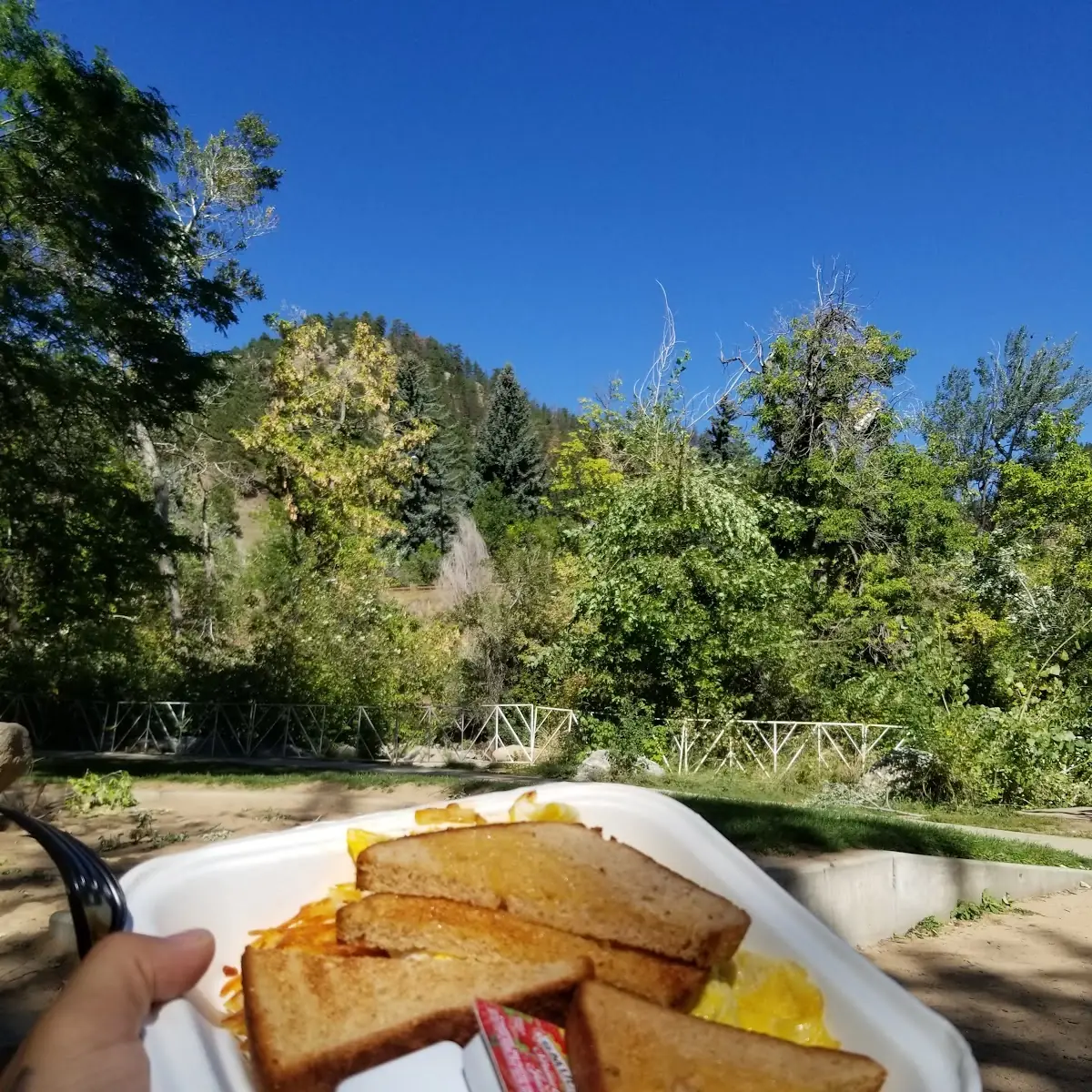Veggie Omelet