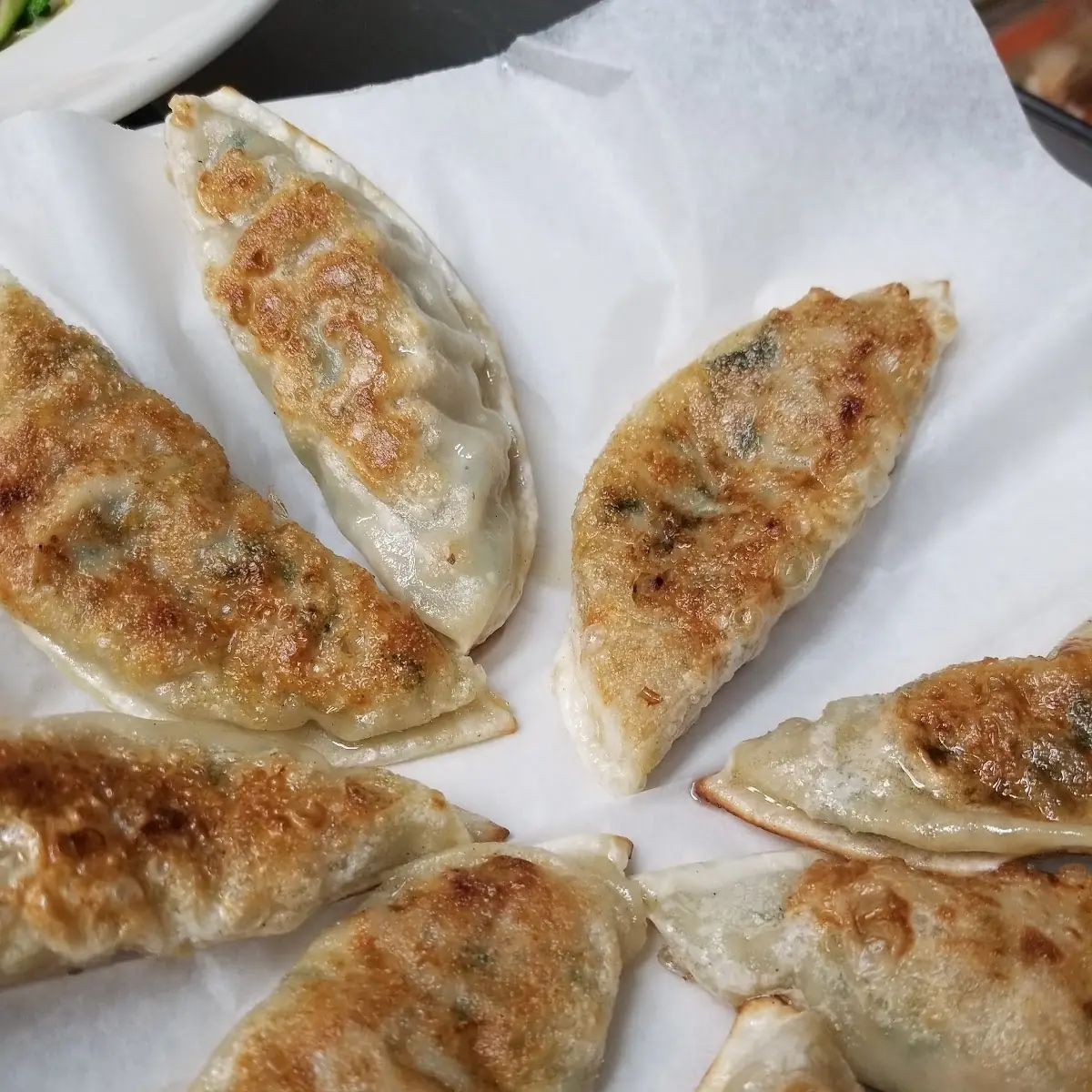 Fried Veggie Dumplings
