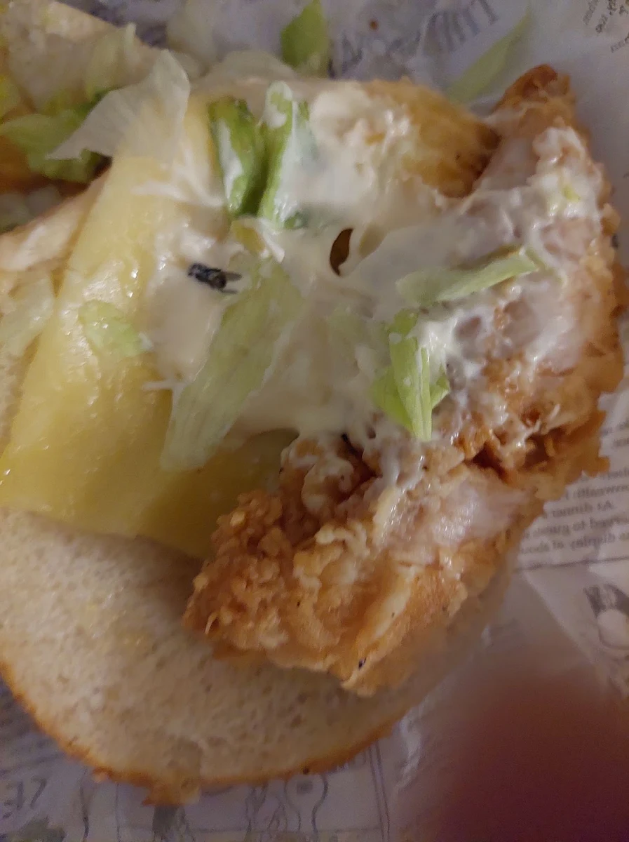 Crispy Junior Burger, Broaster Chicken Campbelltown