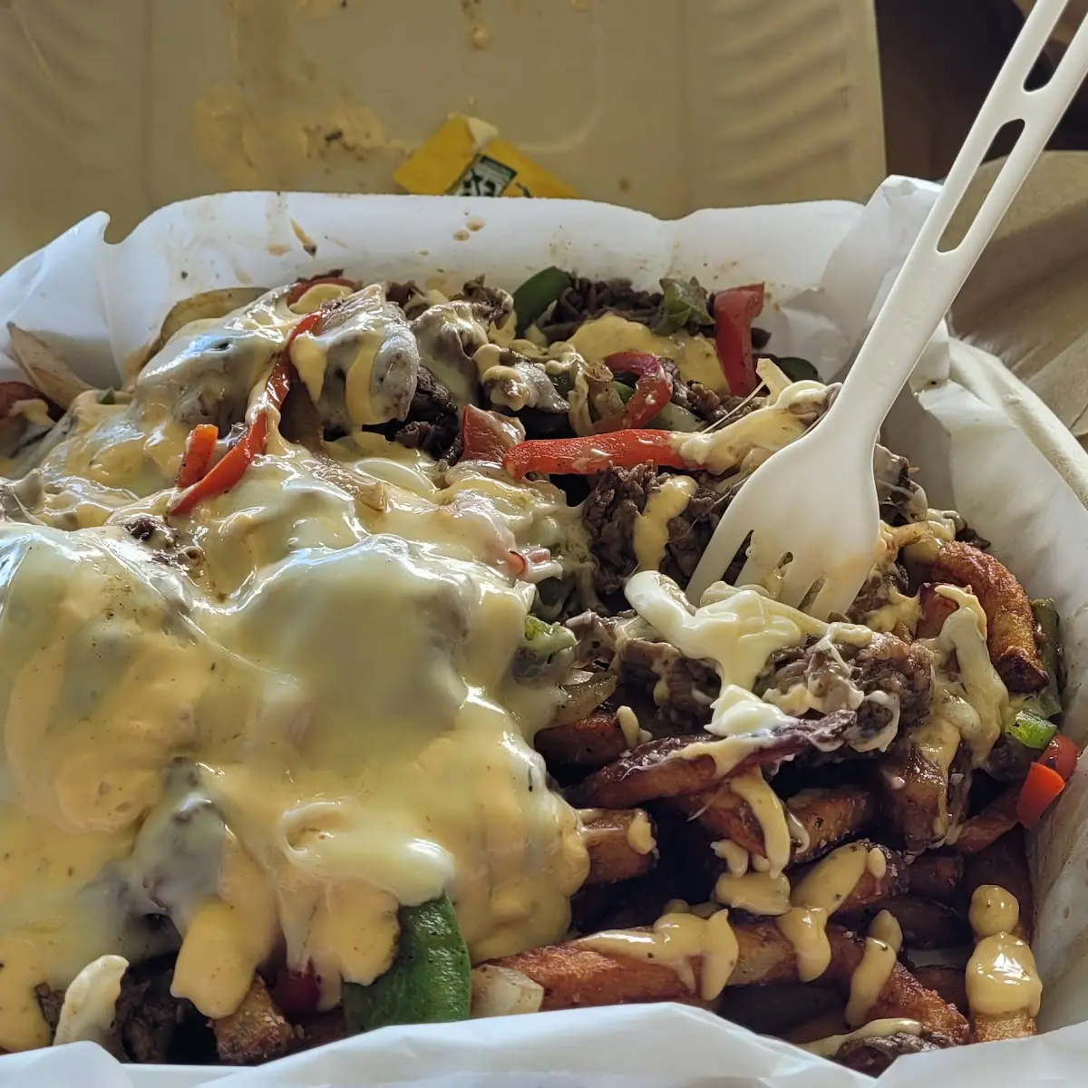 Carne Asada Fries