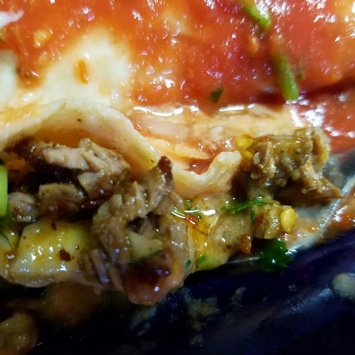 Carne Asada Burrito