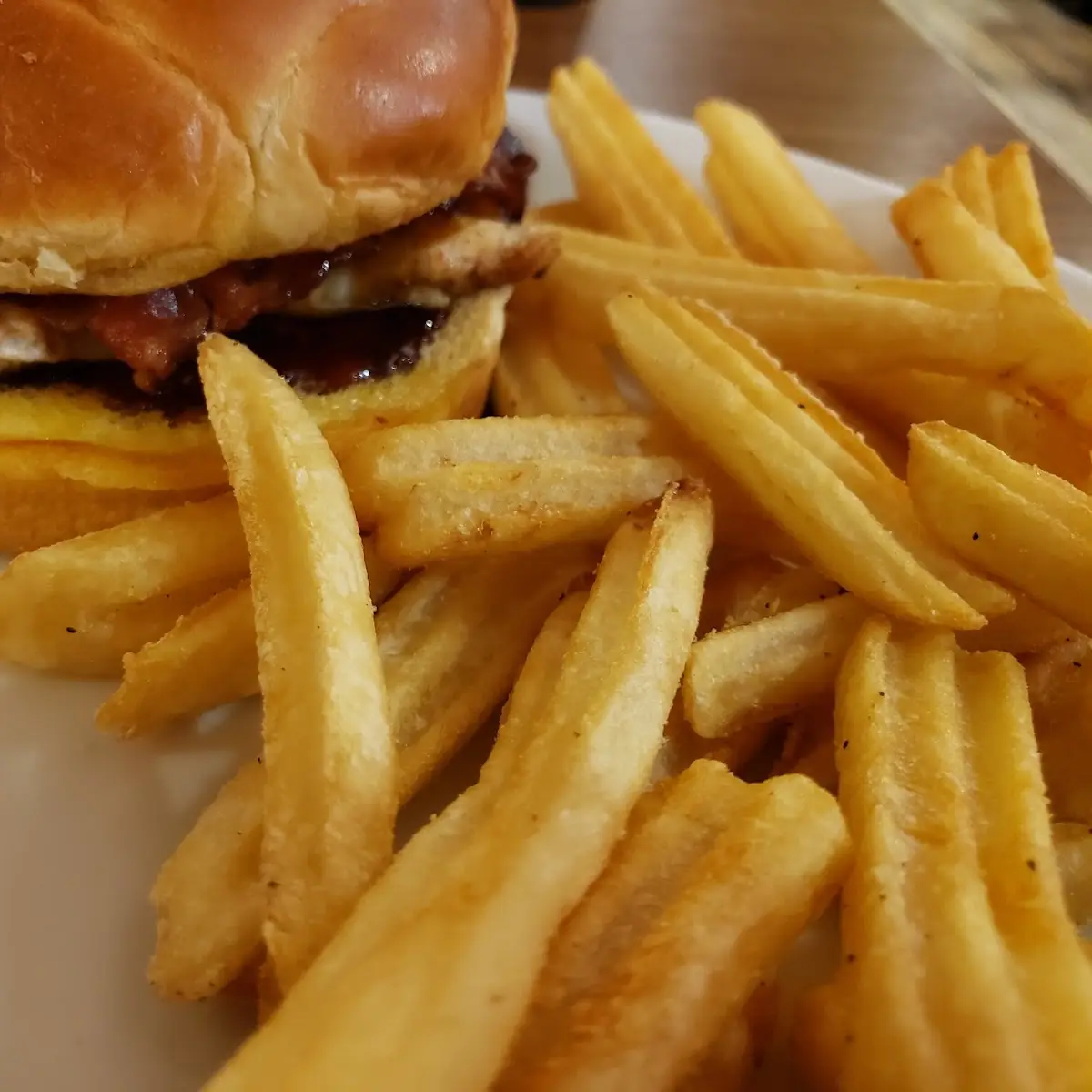 Cheese Burger and Fries