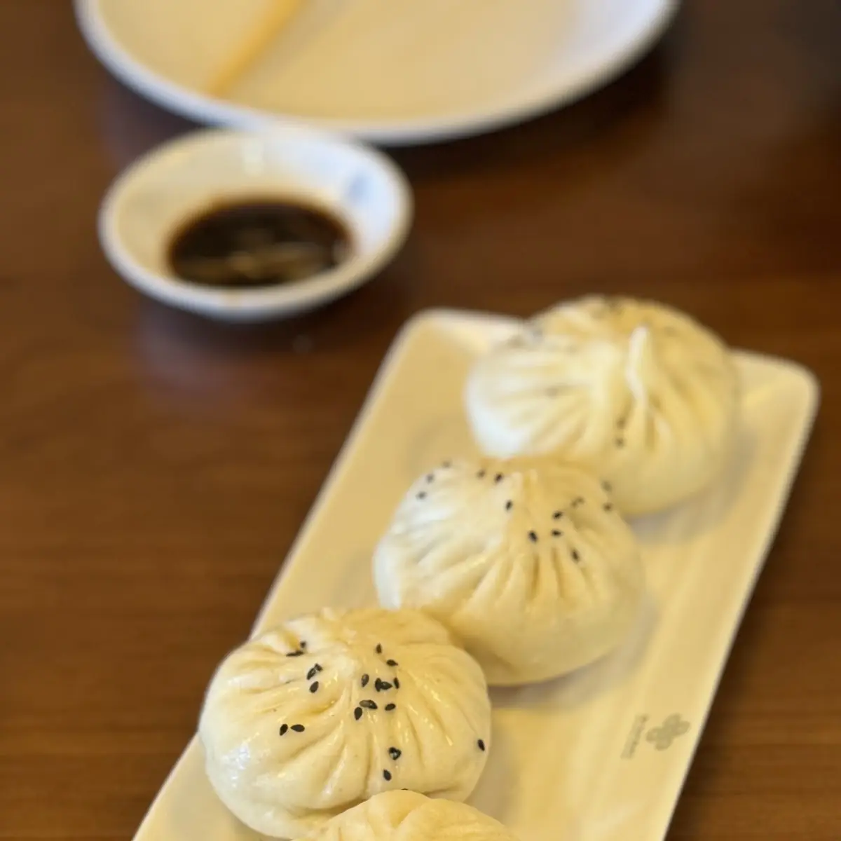 Pork Soup Dumplings Xiao Long Bao