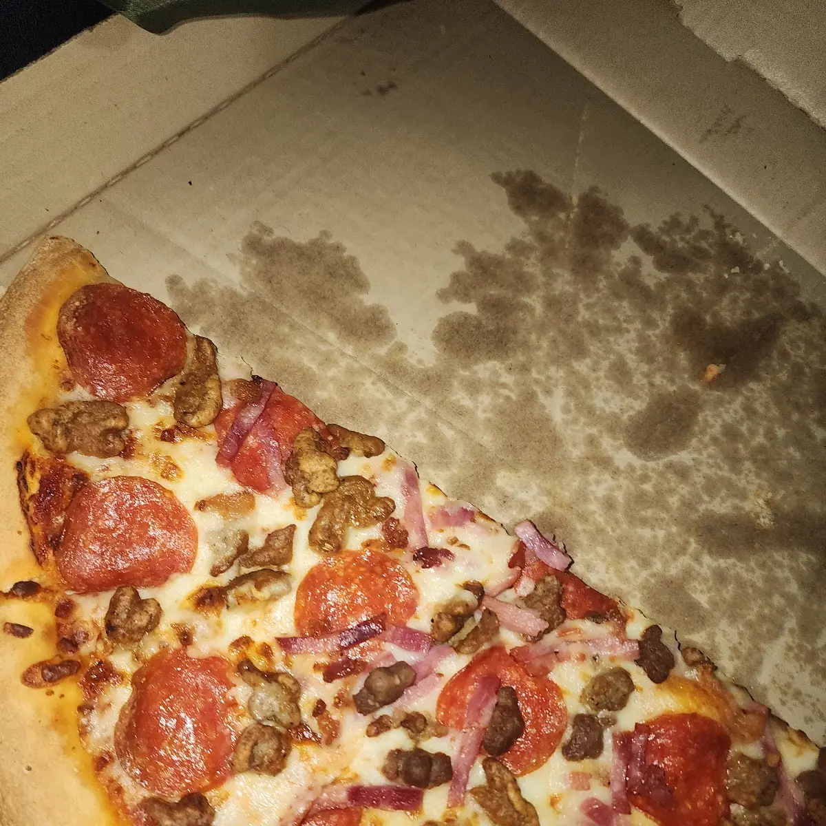 Meat Pizza