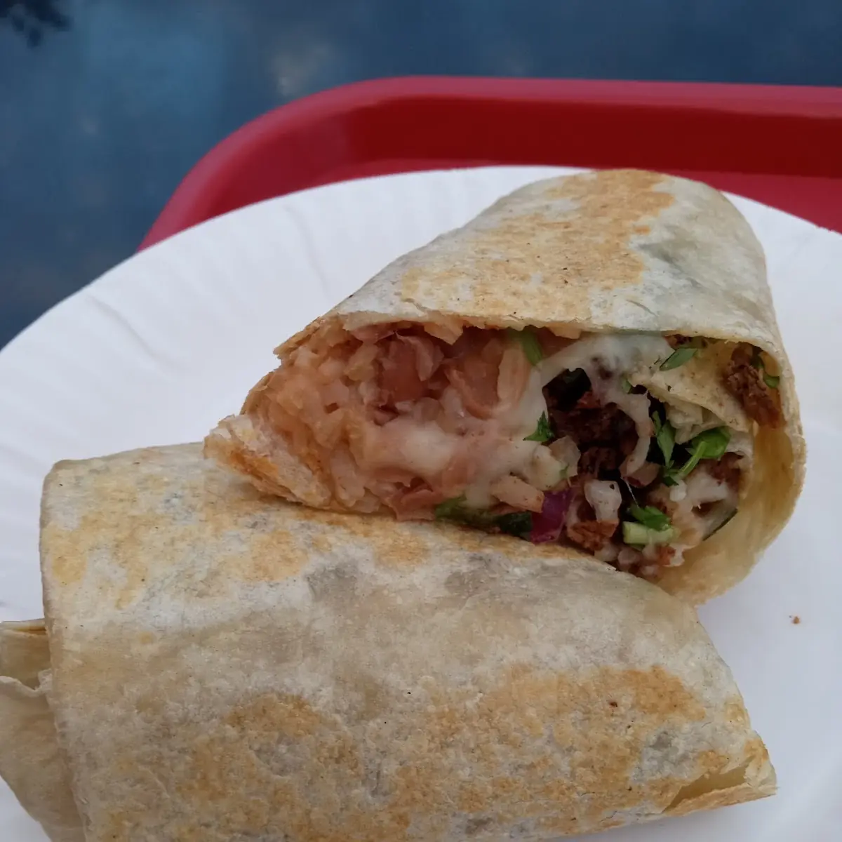 Carne Asada Burrito