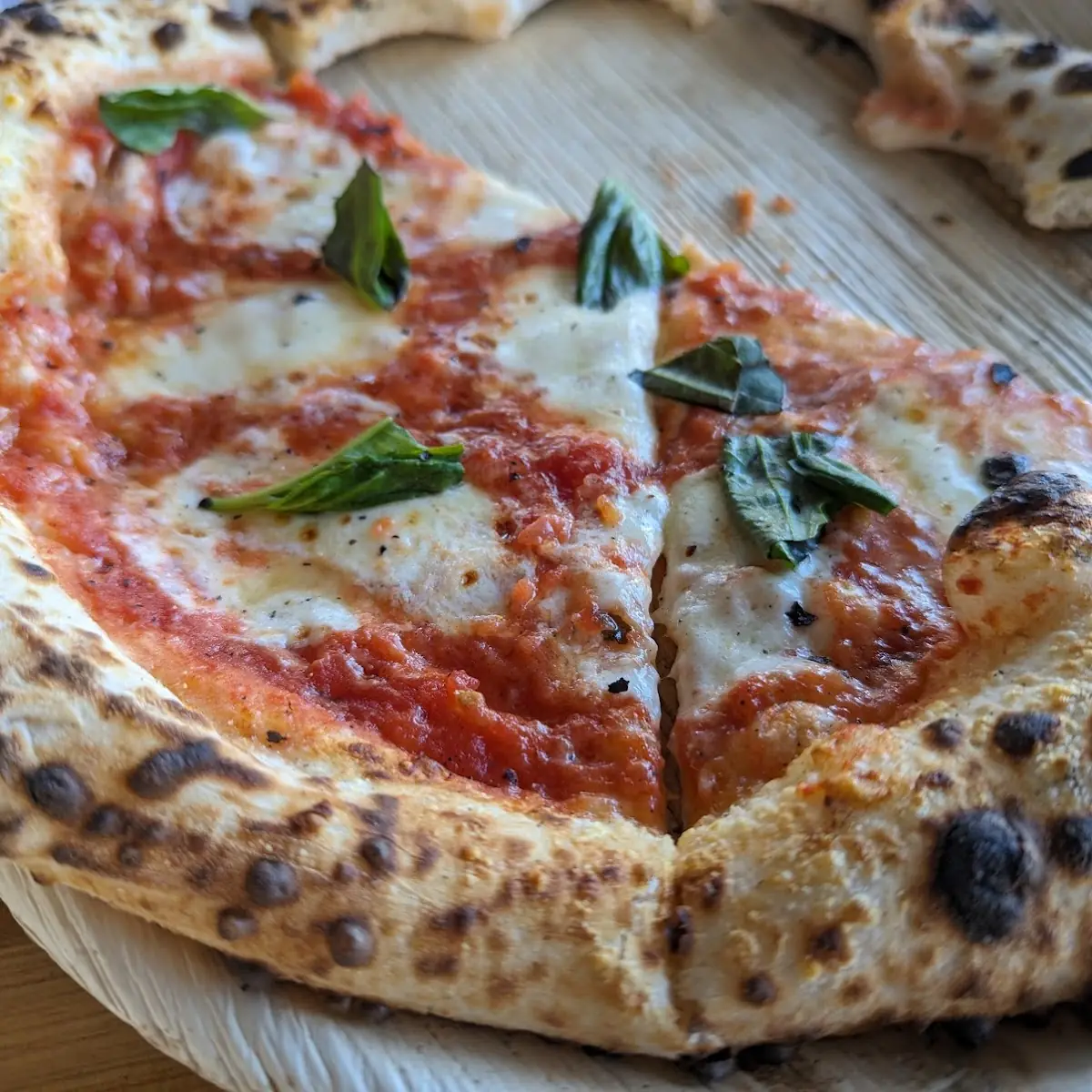 Margherita Pizza