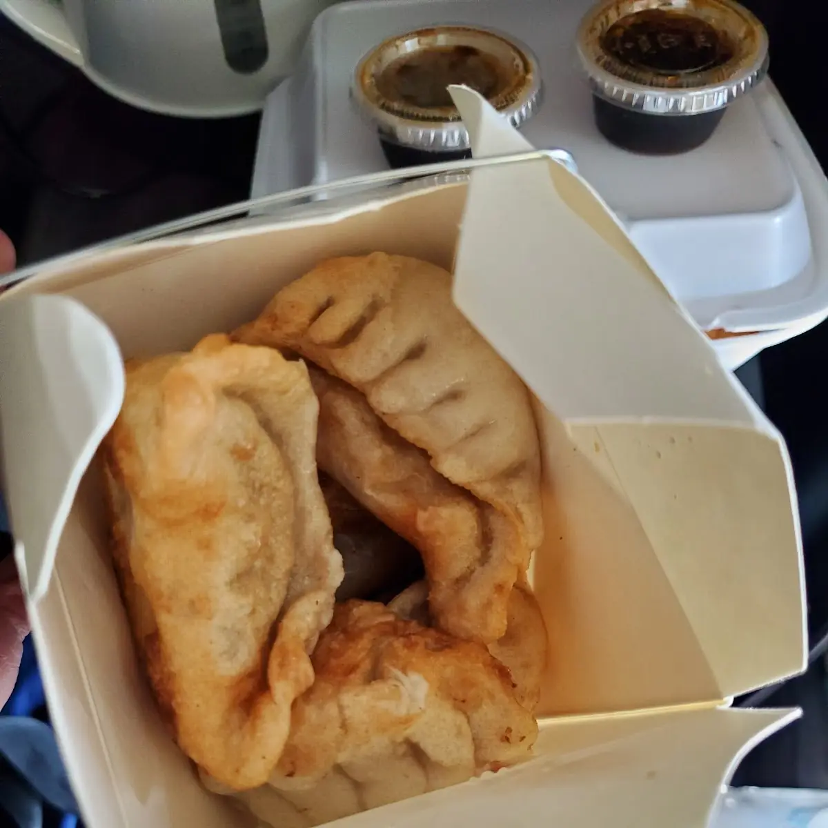 Fried Dumplings