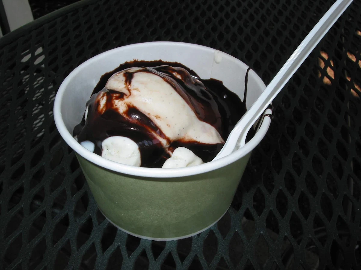 Vanilla Ice Cream