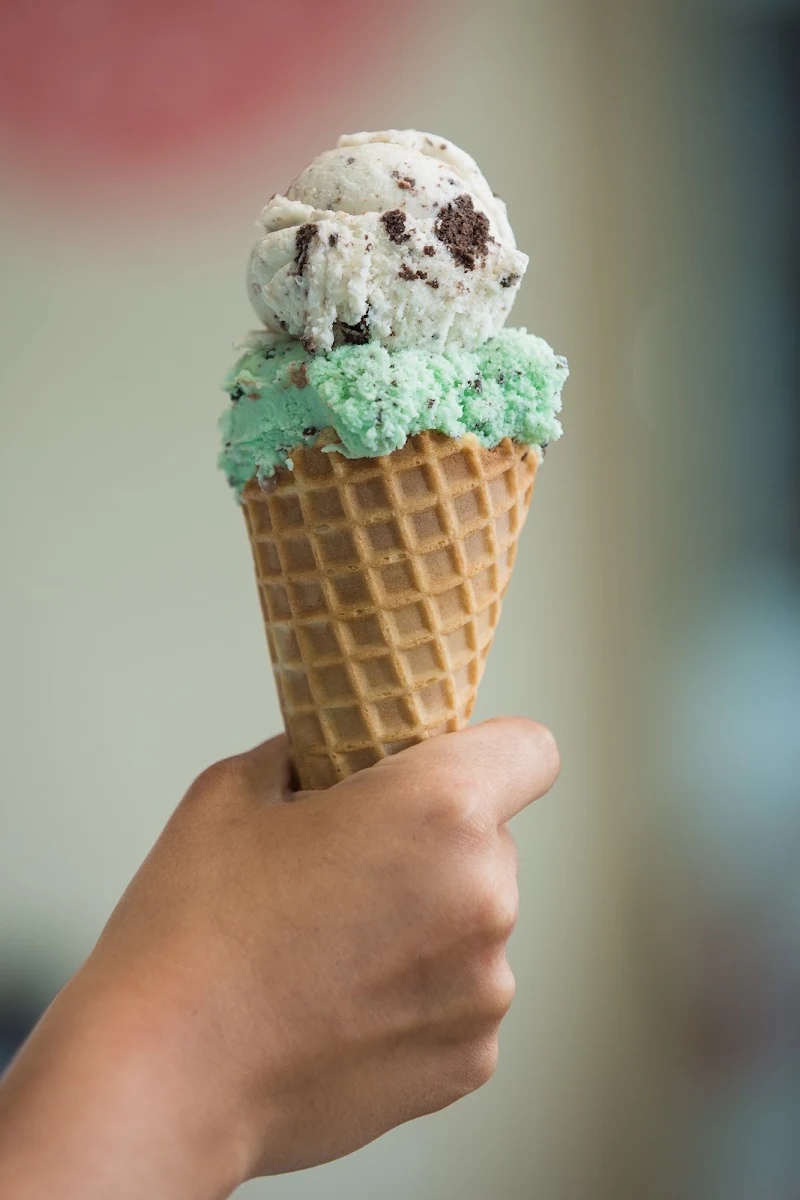 Mint Chocolate Chip