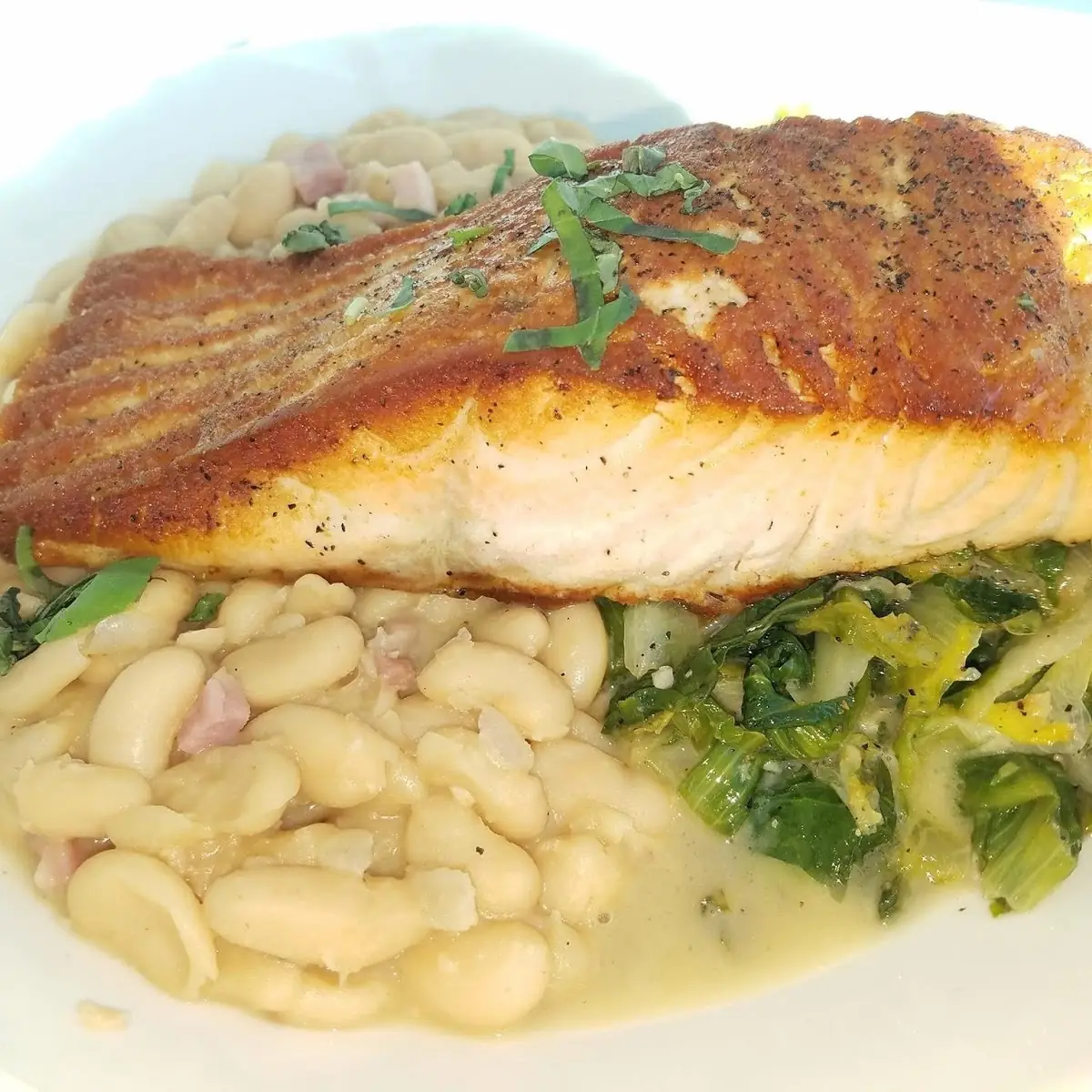 Pan Seared Salmon Over