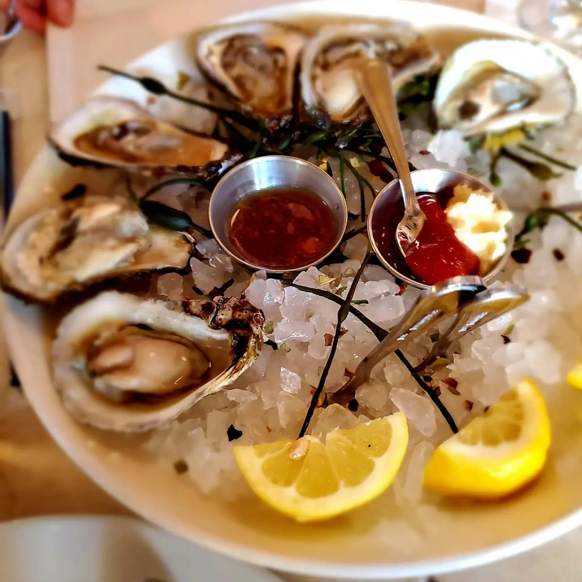 Raw Oysters and Shrimp Cocktail