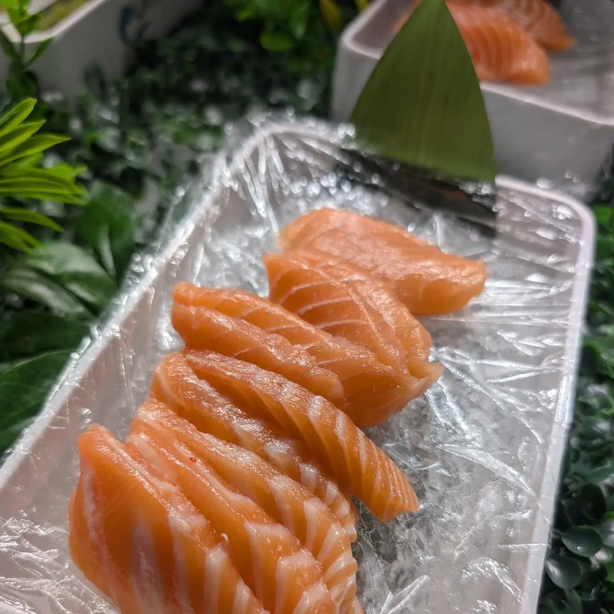Salmon Sashimi
