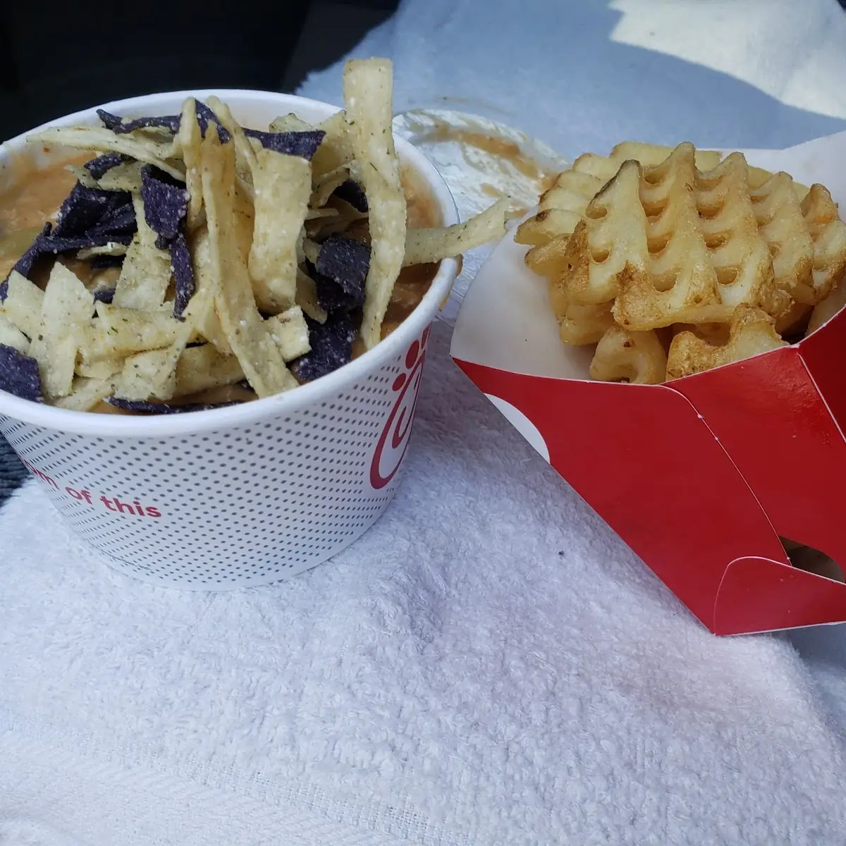 Chicken Tortilla Soup w Waffle Fries