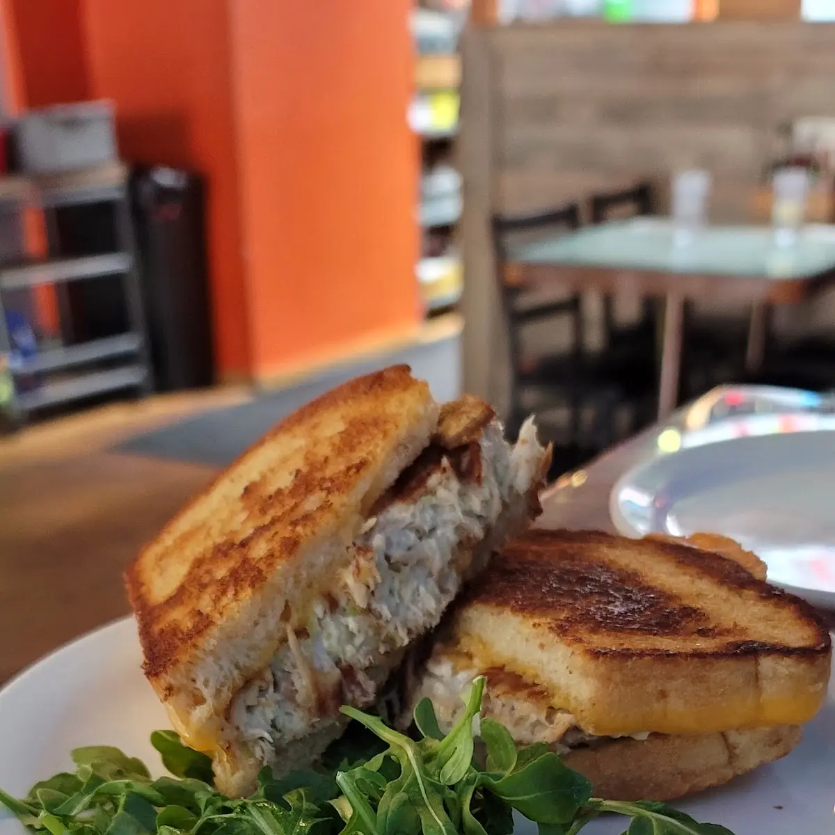 Tuna Melt Special