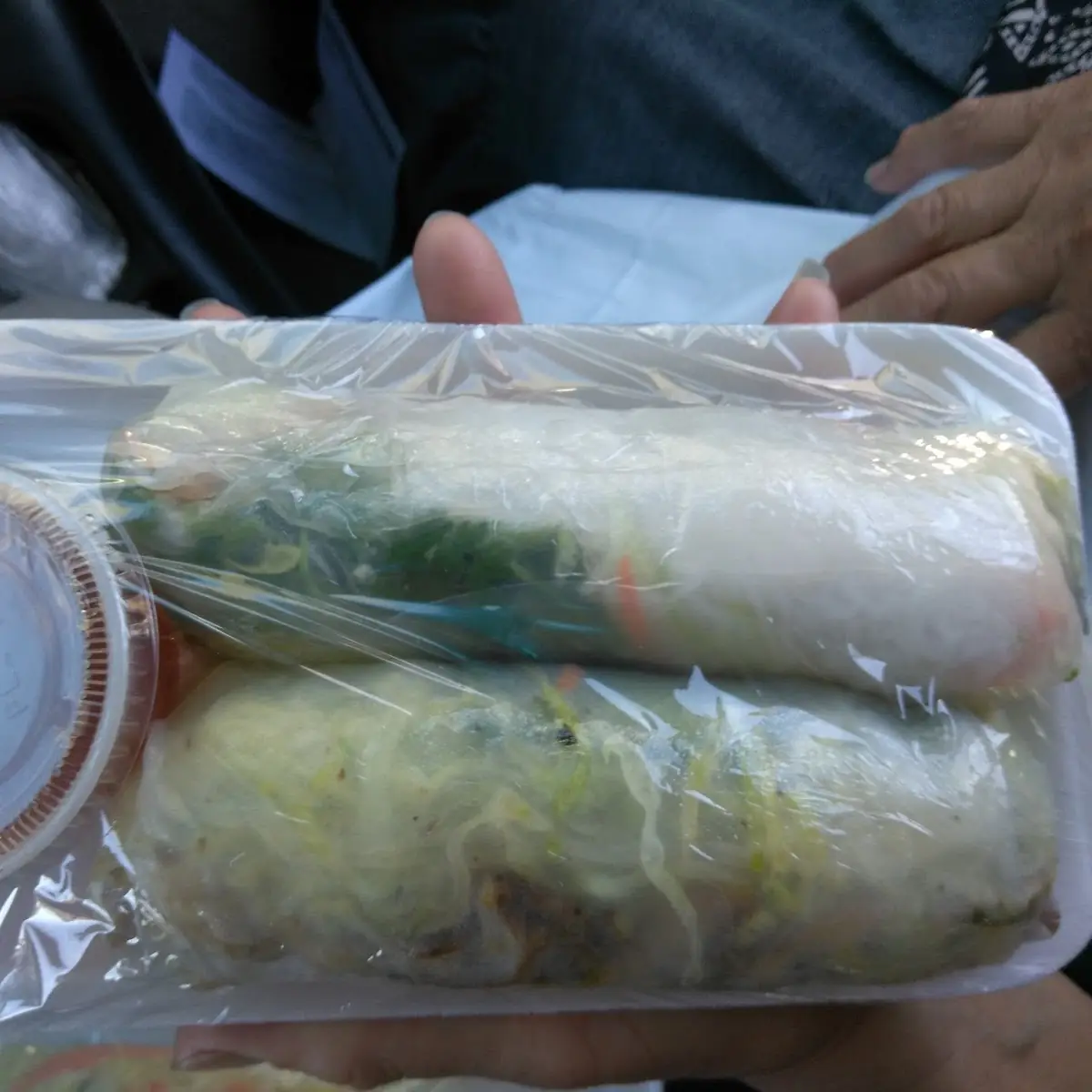 Chicken Spring Rolls