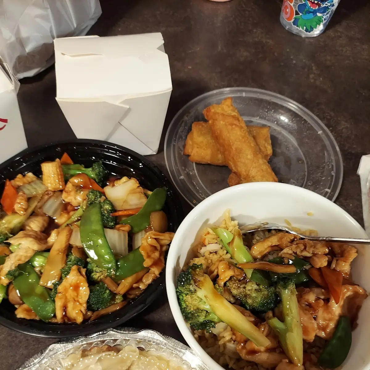 Vegetable Spring Roll (2)