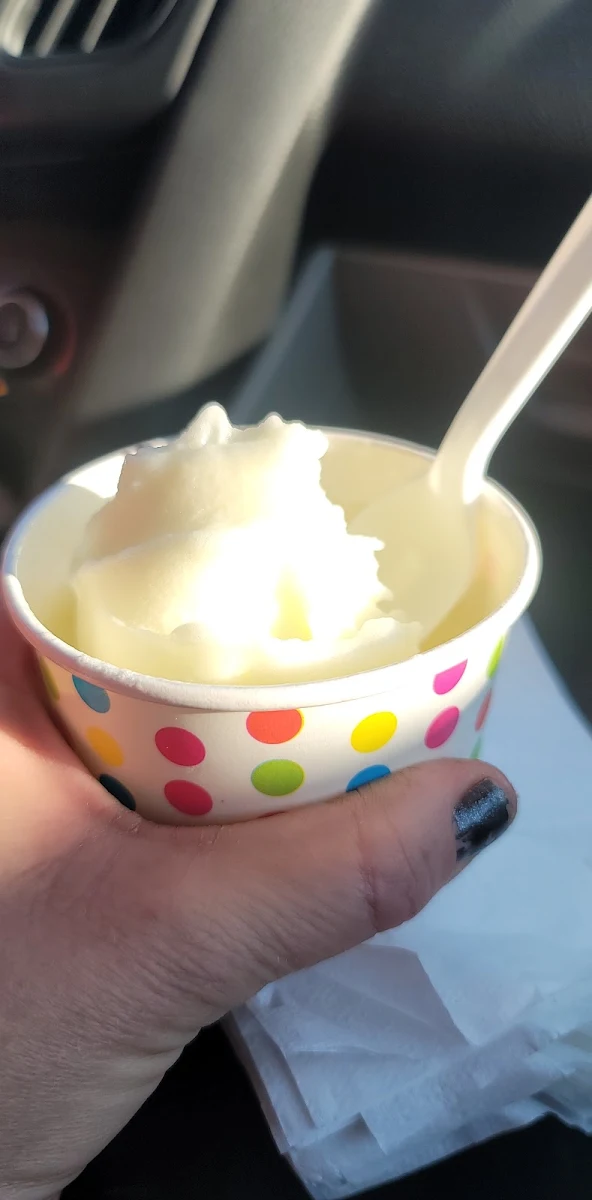 Frozen Yogurt