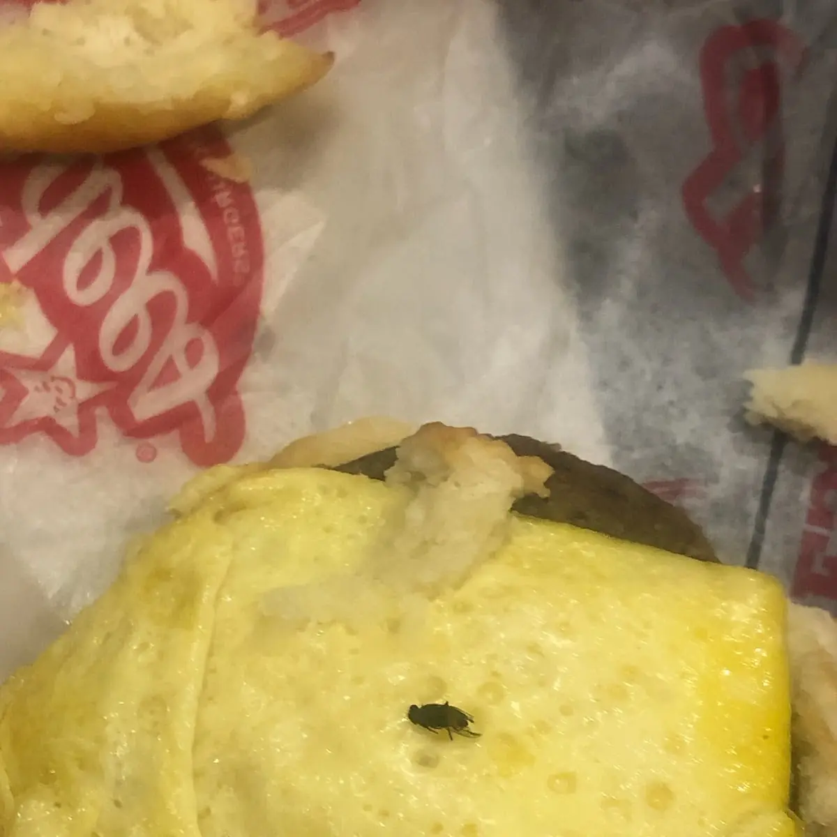 Sausage Biscuit with Fly