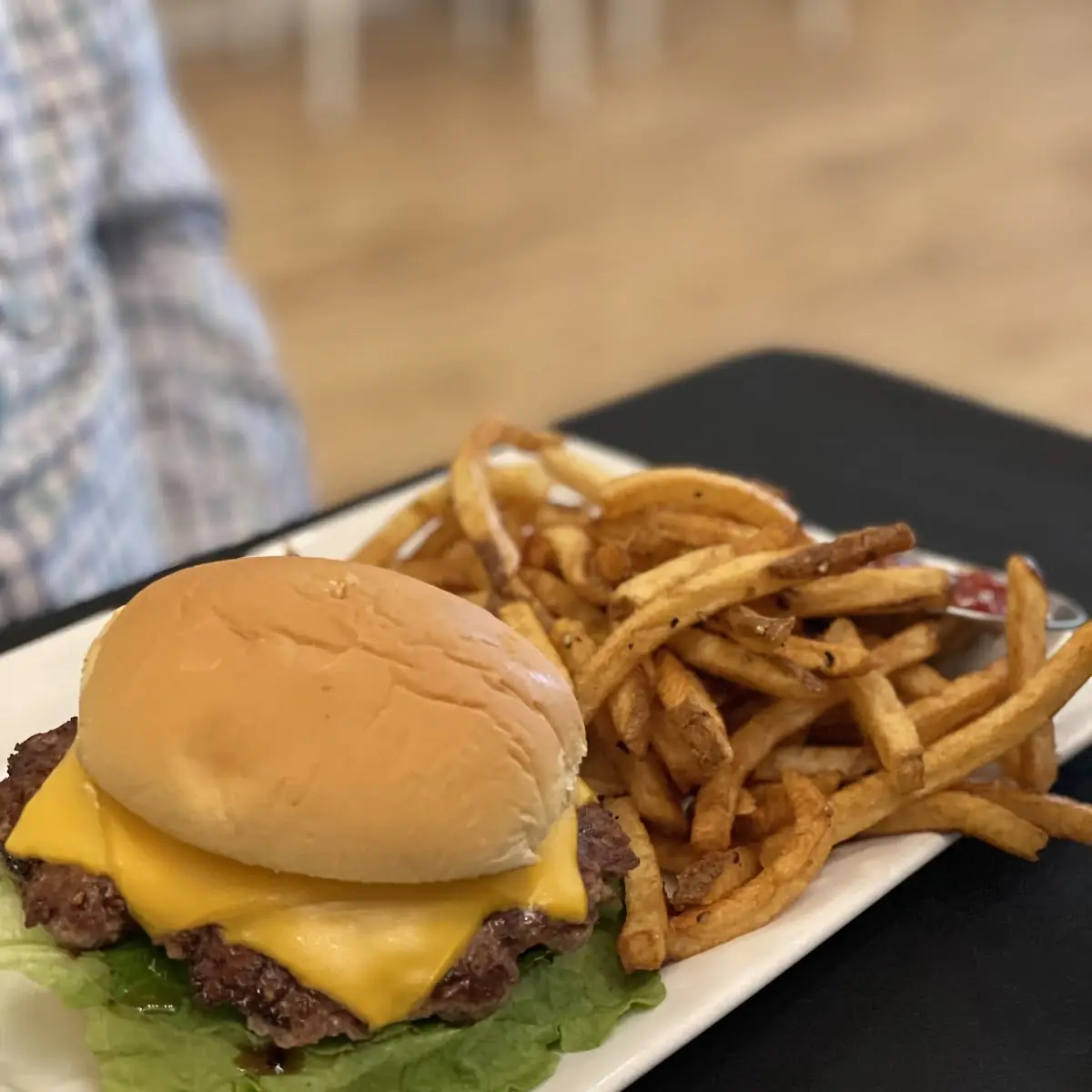 Burger & Fries