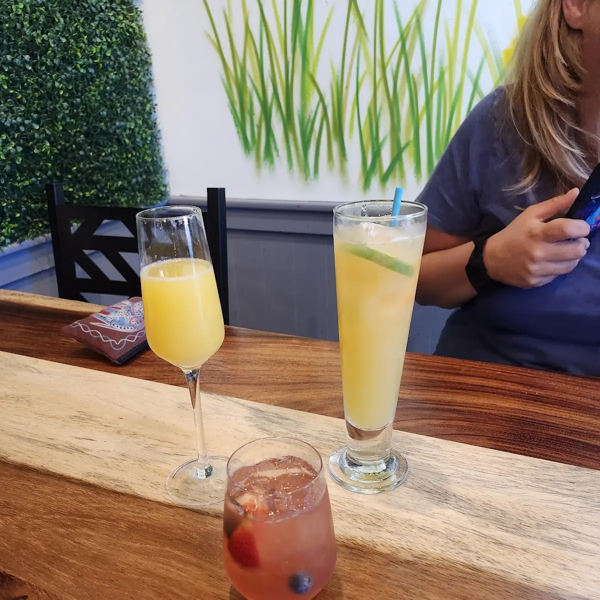 Mimosa Flight