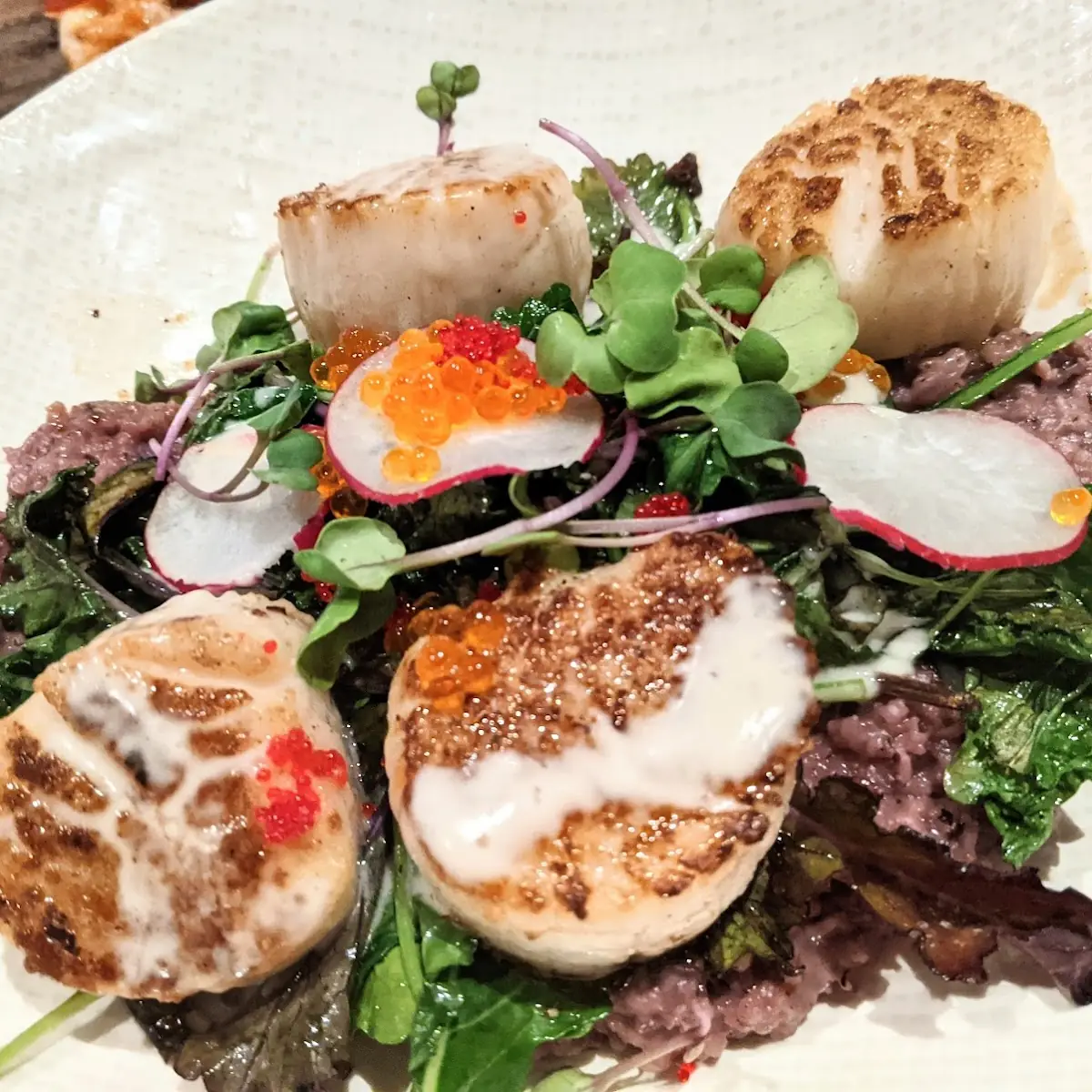 Sea Scallops