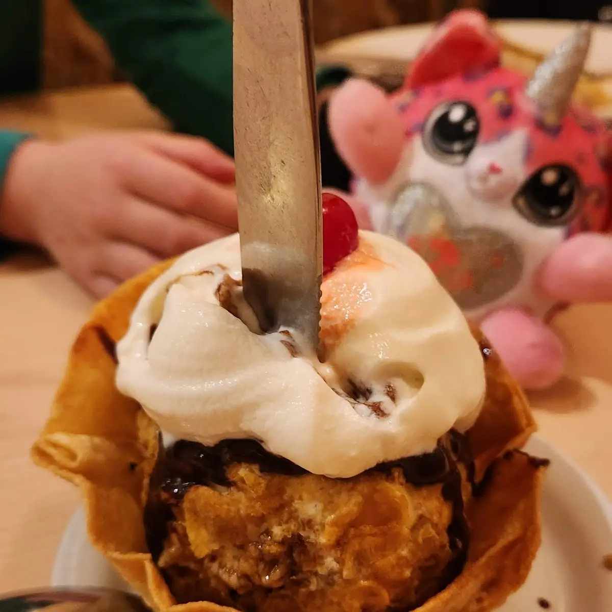 Fried Ice Cream