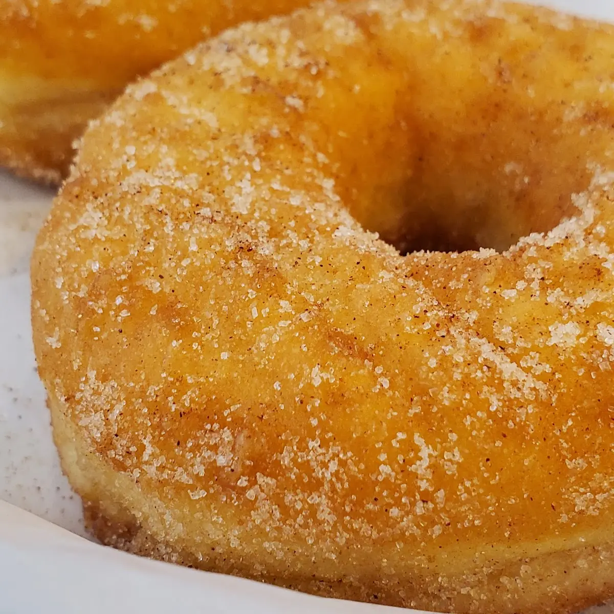 Donut