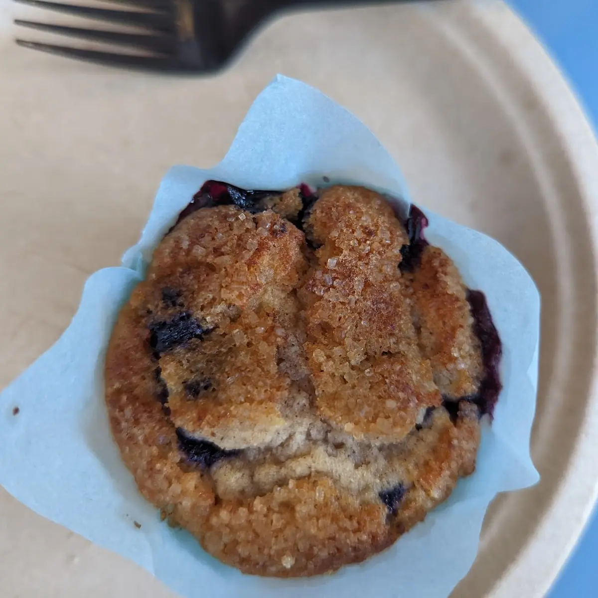 Blueberry Muffin