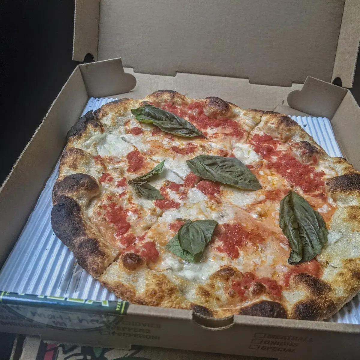 Plain Cheese Pizza