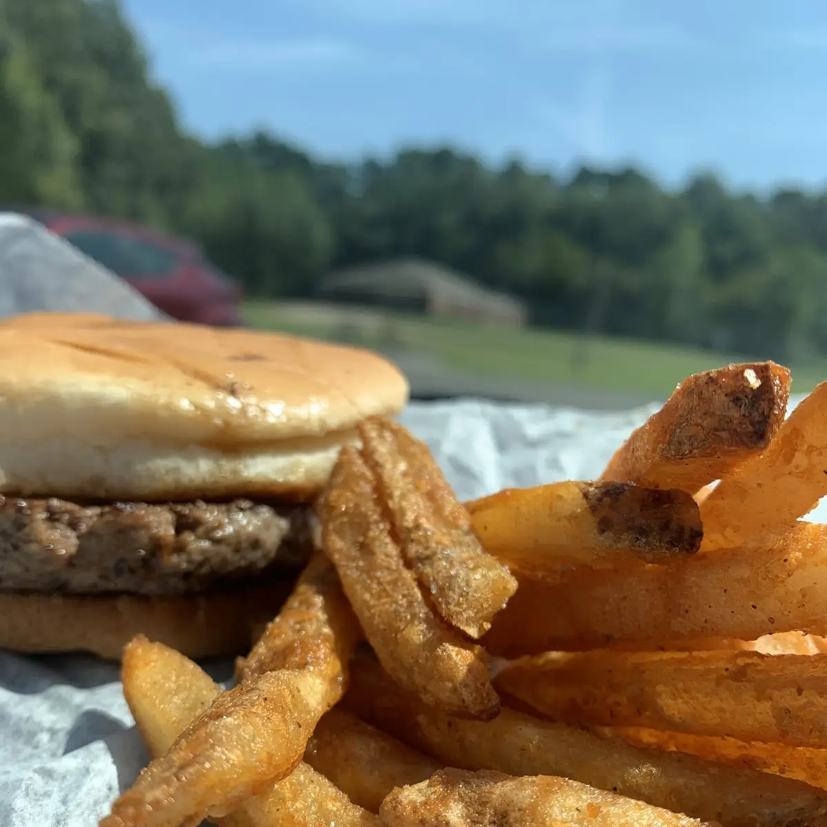Cheeseburger with Fries
